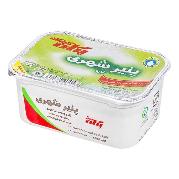 پنیر شهری سنتی 300 گرمی پگاه Pegah Urban Cheese 300gr